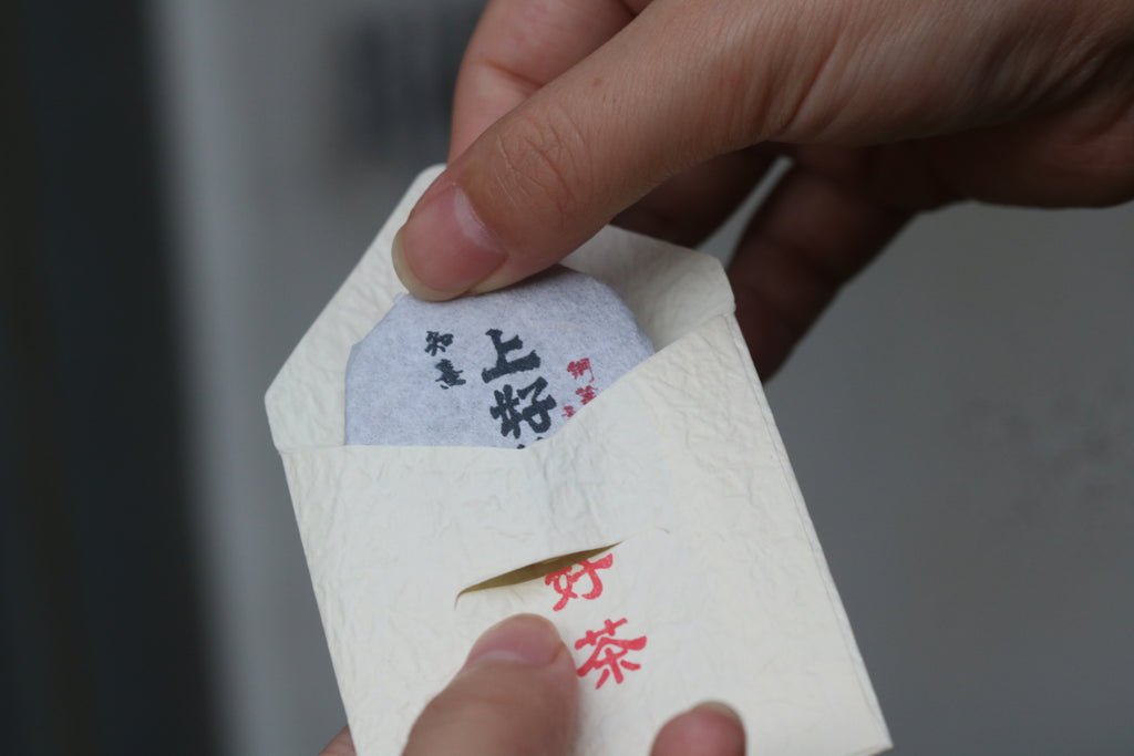 2023 Mini Portable Pu'er Tea from Tongqing River — Tea from the Primal Forest