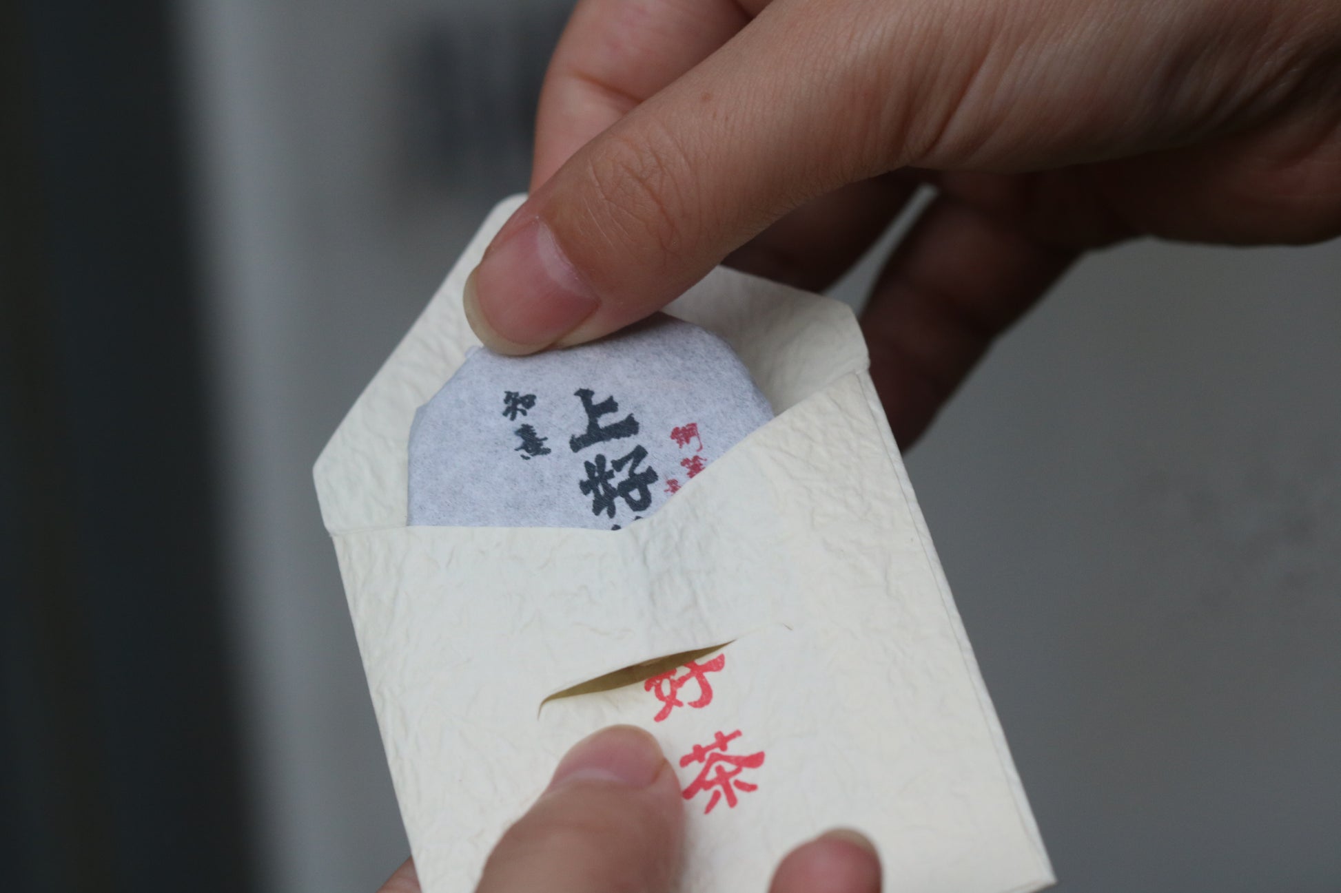 2023 Mini Portable Pu'er Tea from Tongqing River — Tea from the Primal Forest