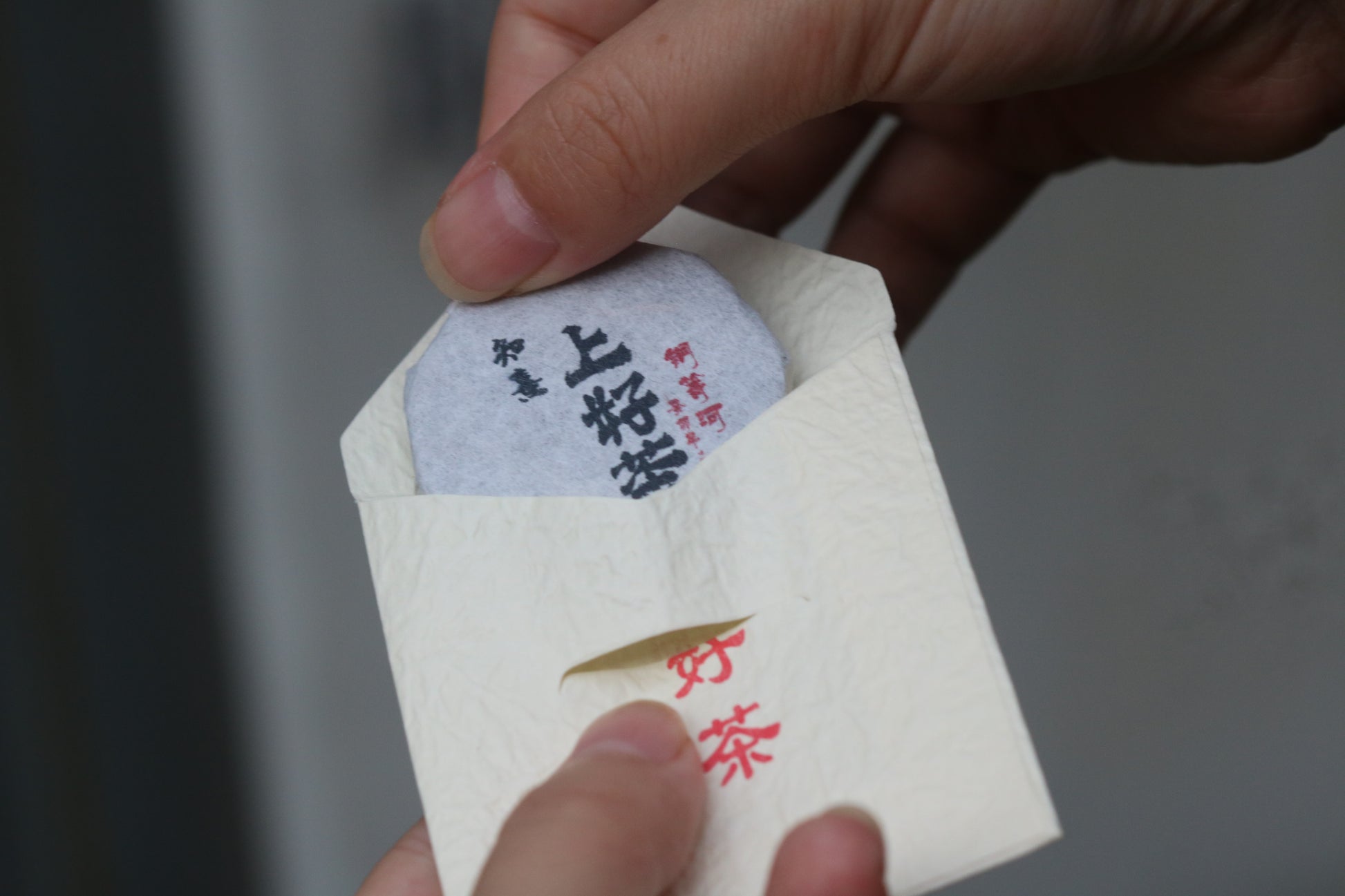 2023 Mini Portable Pu'er Tea from Tongqing River — Tea from the Primal Forest