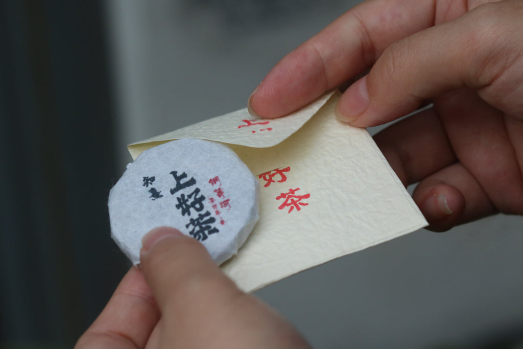 2023 Mini Portable Pu'er Tea from Tongqing River — Tea from the Primal Forest