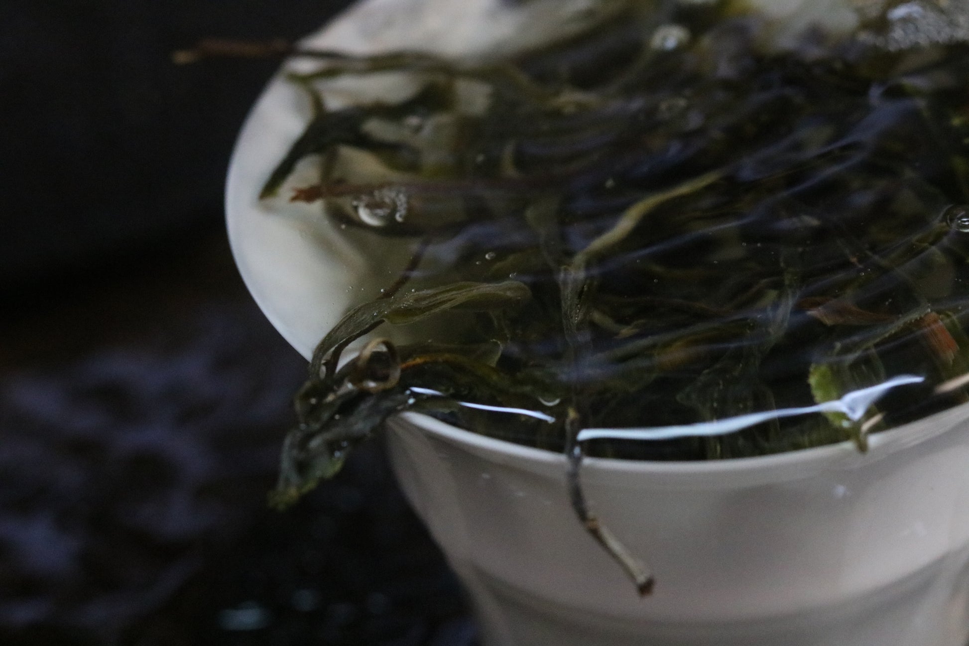 2023 Tongqing River Pu-erh Tea — Tea from the Pristine Forest