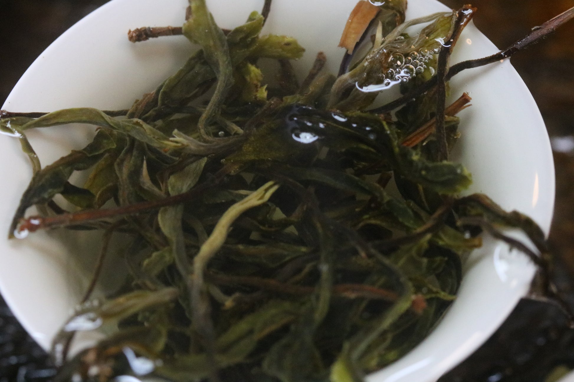 2023 Tongqing River Pu-erh Tea — Tea from the Pristine Forest