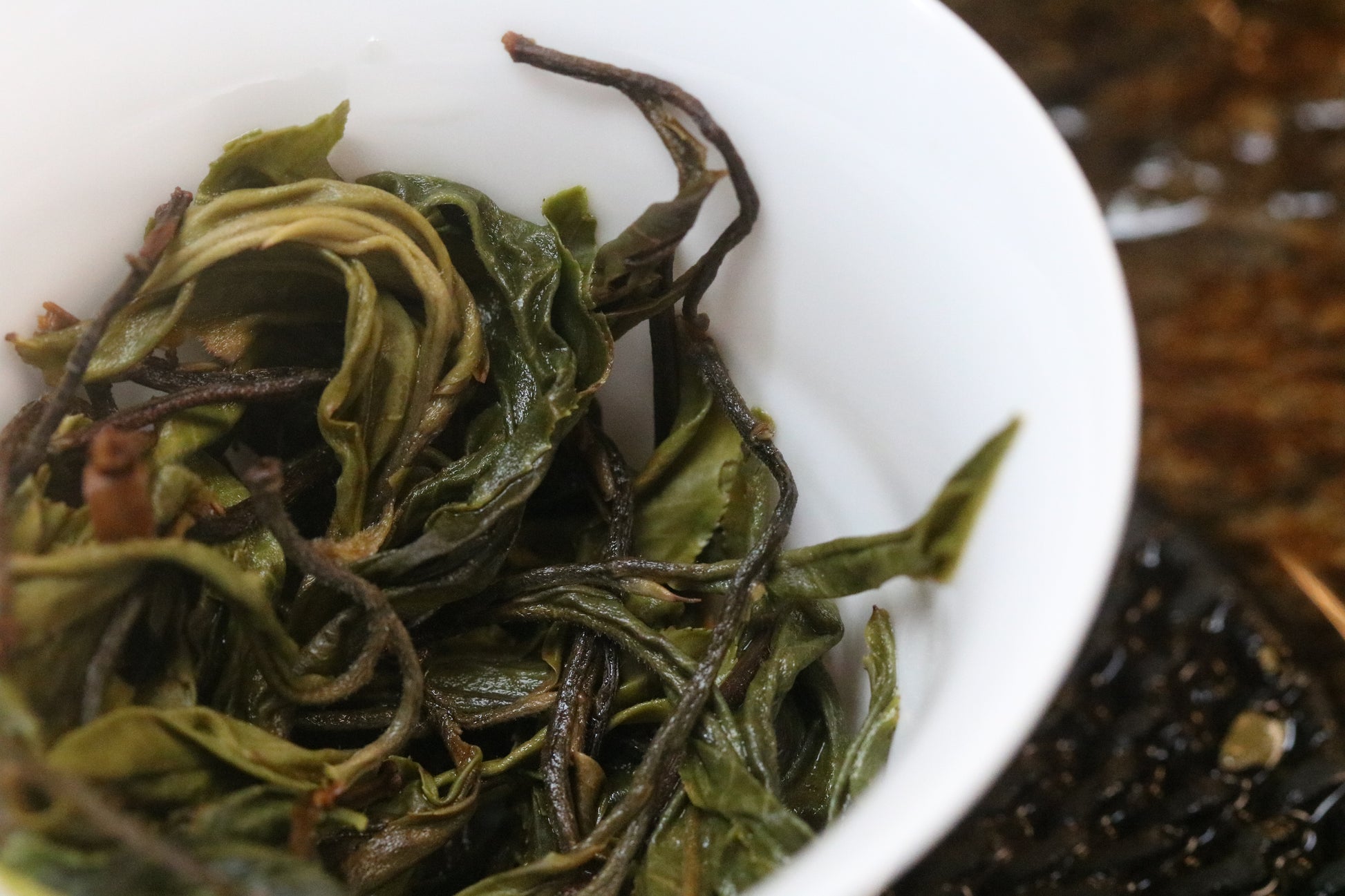 2023 Mini Portable Pu'er Tea from Tongqing River — Tea from the Primal Forest