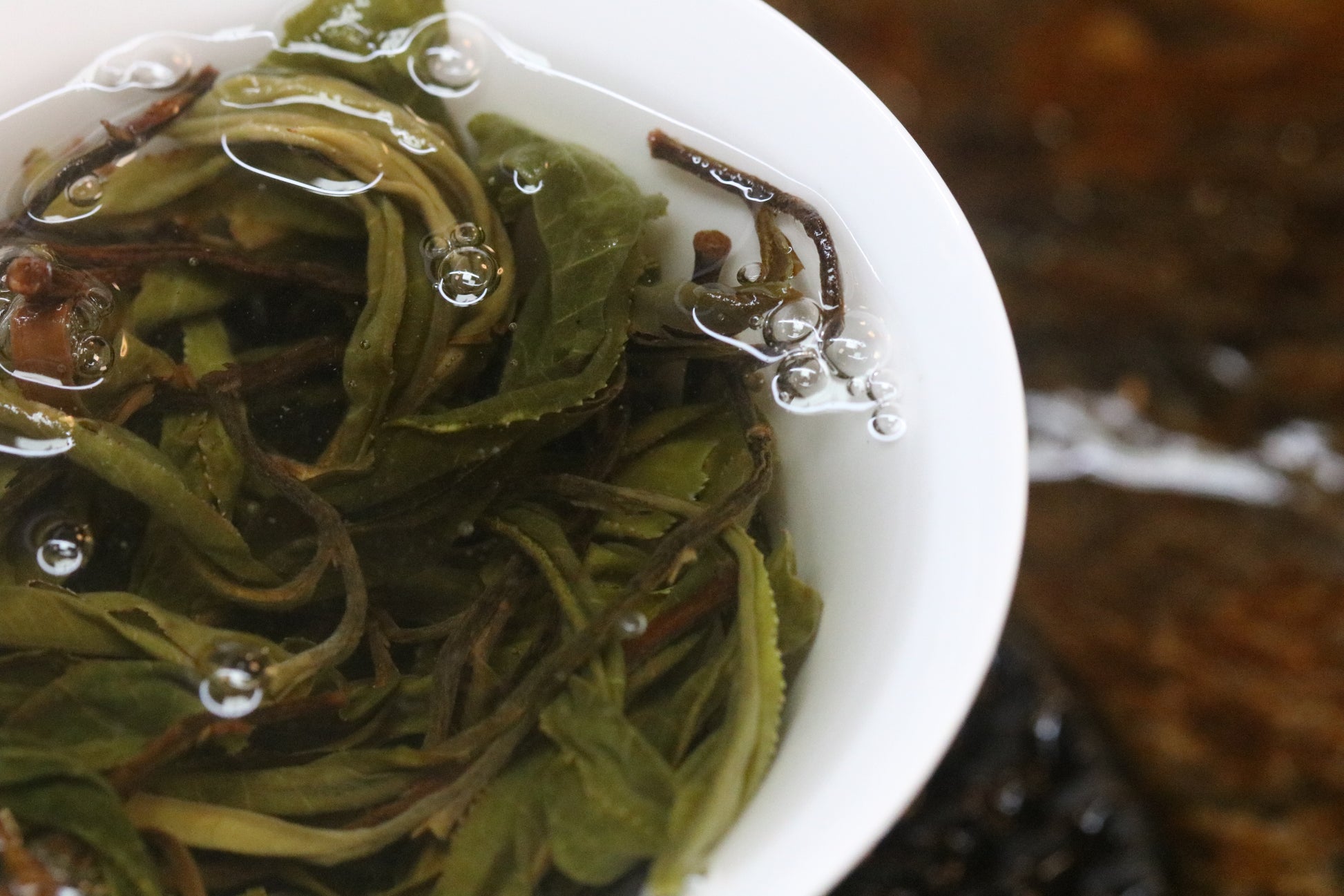 2023 Mini Portable Pu'er Tea from Tongqing River — Tea from the Primal Forest