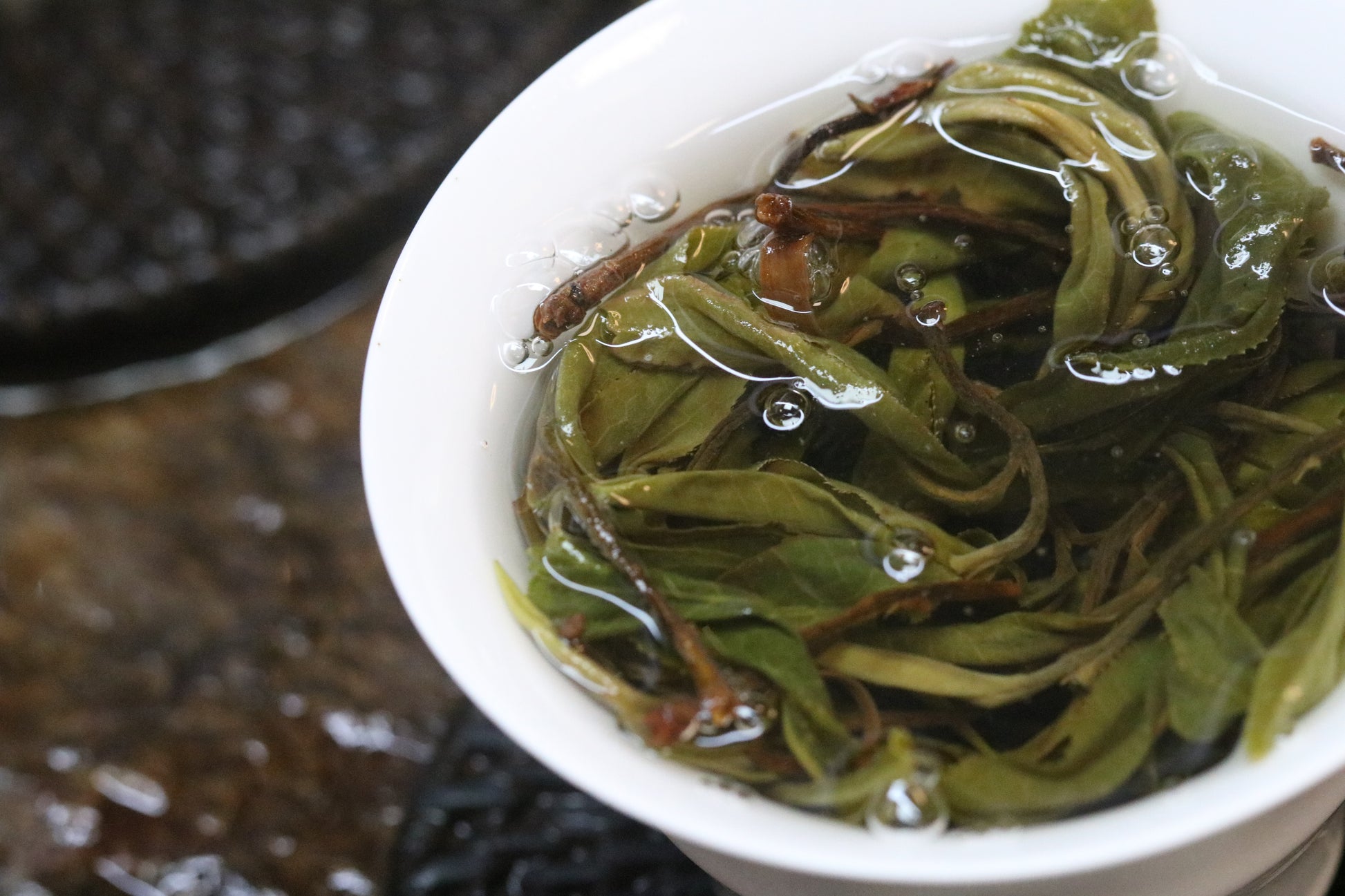 2023 Mini Portable Pu'er Tea from Tongqing River — Tea from the Primal Forest