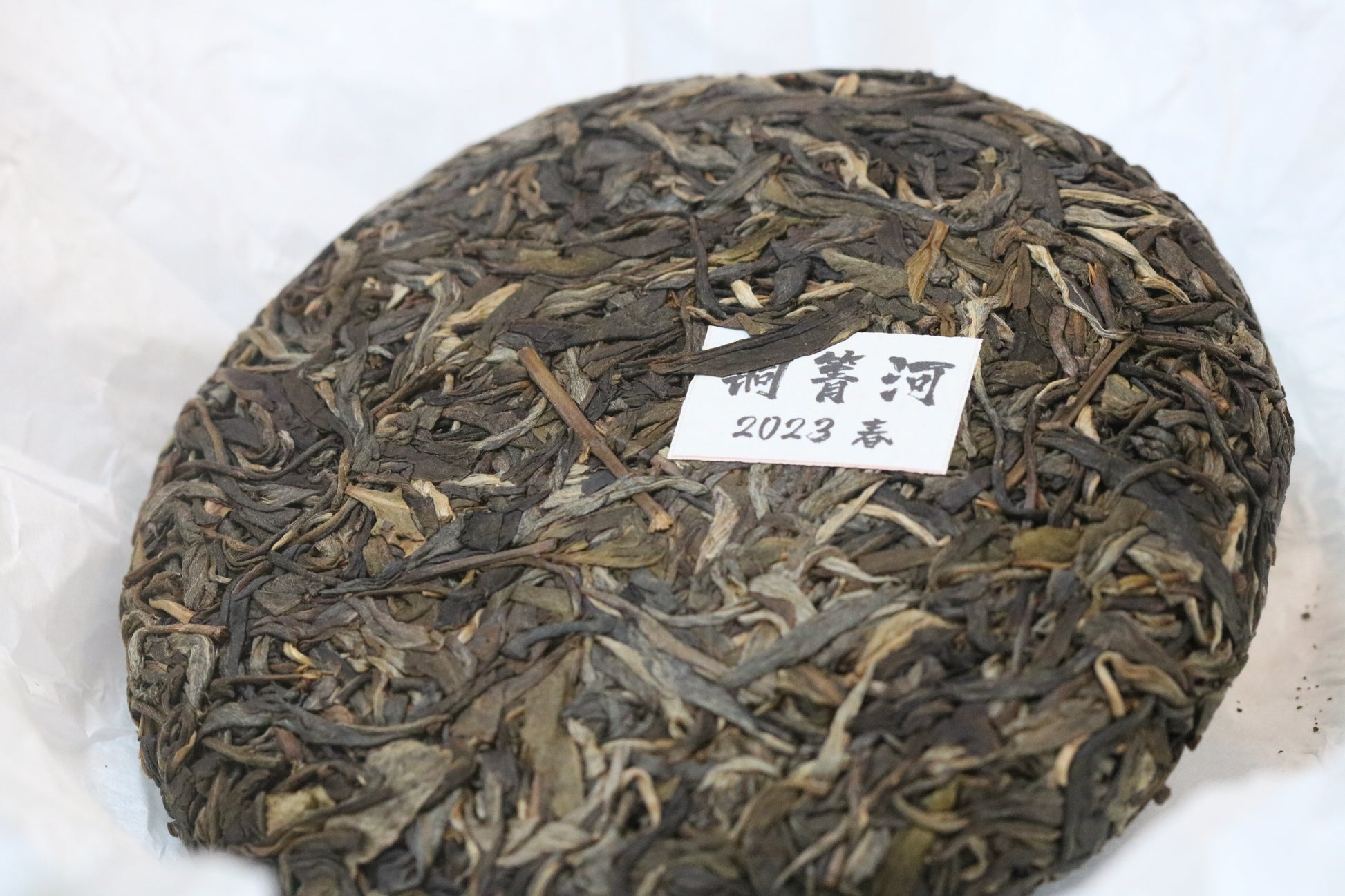2023 Tongqing River Pu-erh Tea — Tea from the Pristine Forest