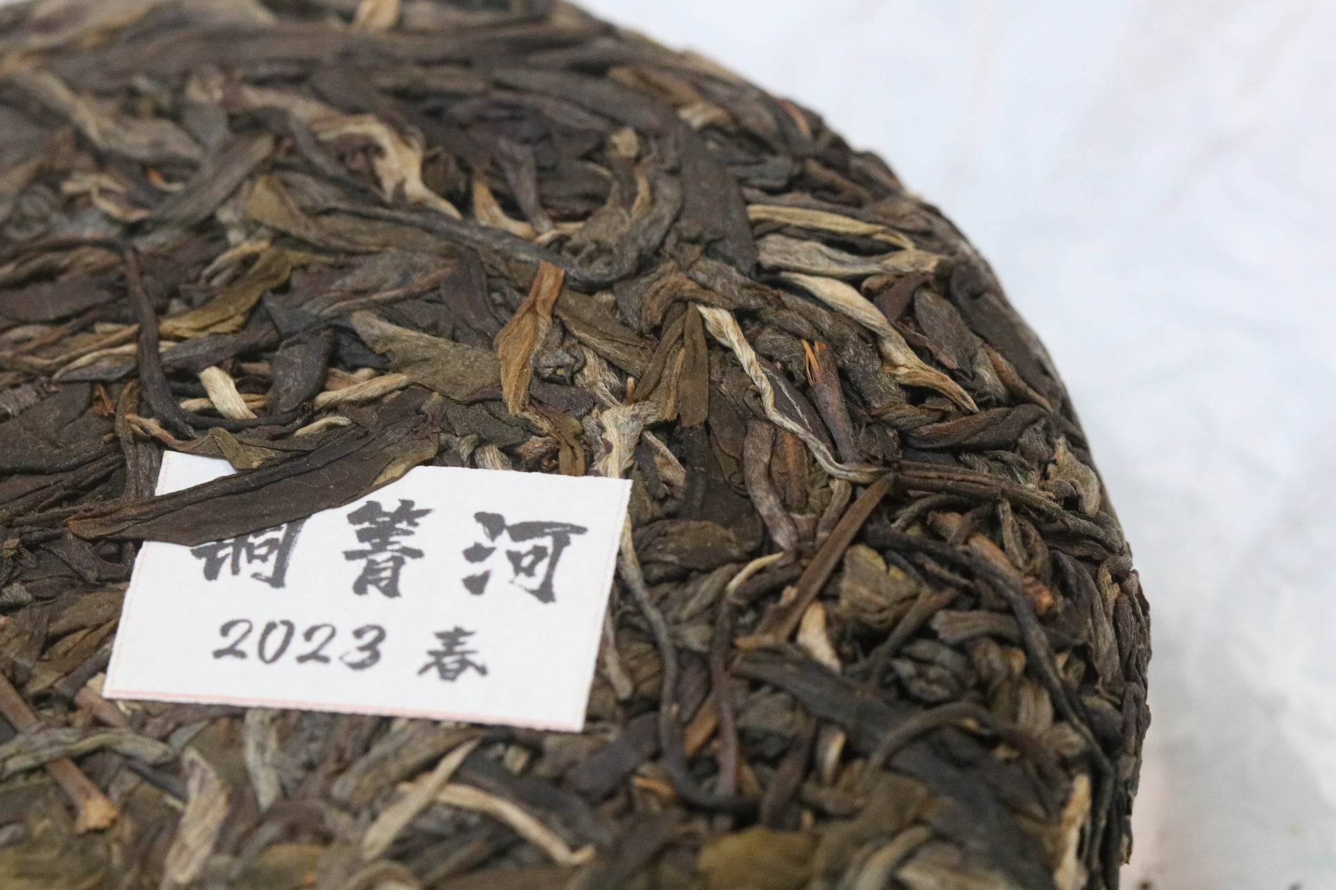 2023 Tongqing River Pu-erh Tea — Tea from the Pristine Forest