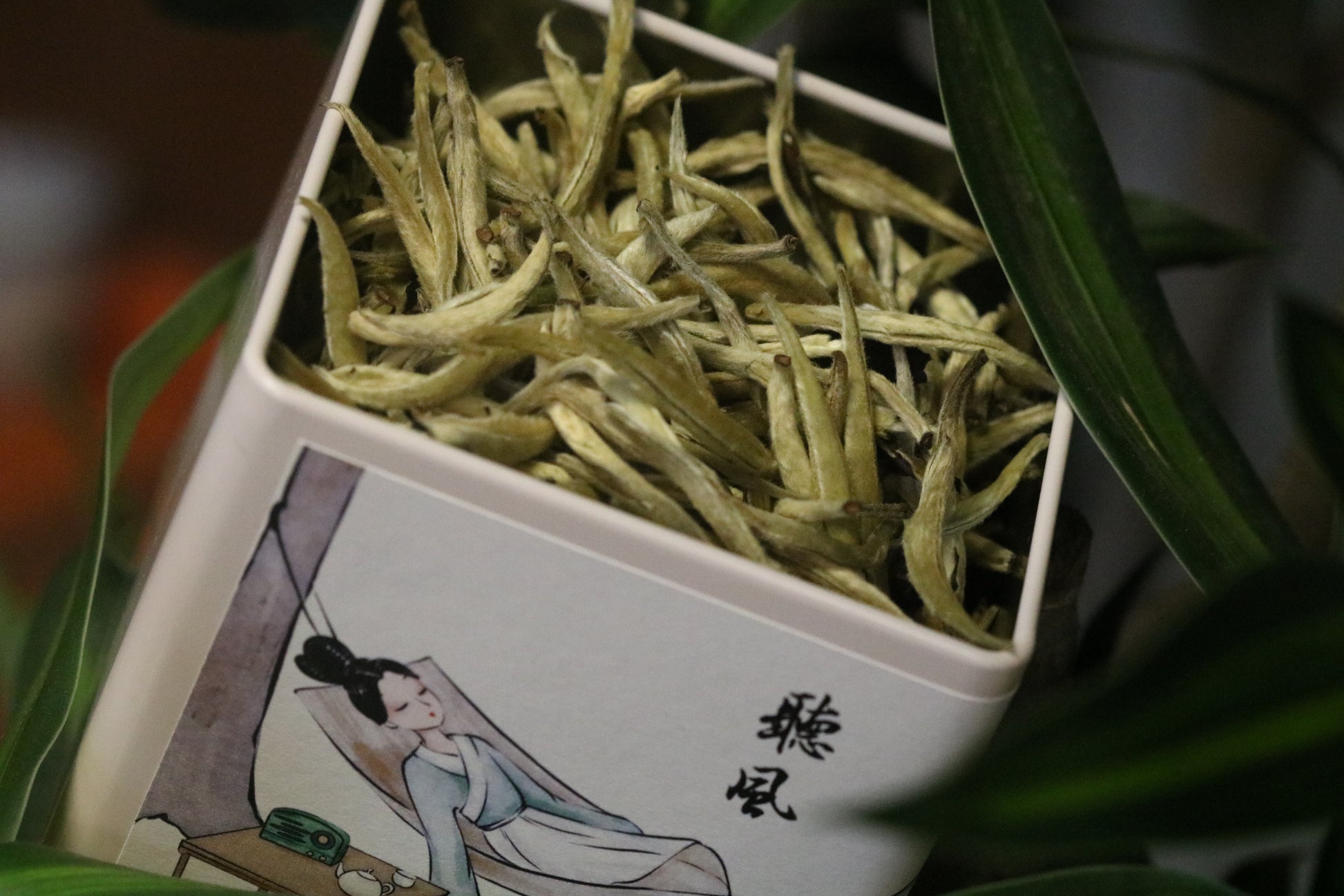 2022 Yunnan Silver Needle White Tea