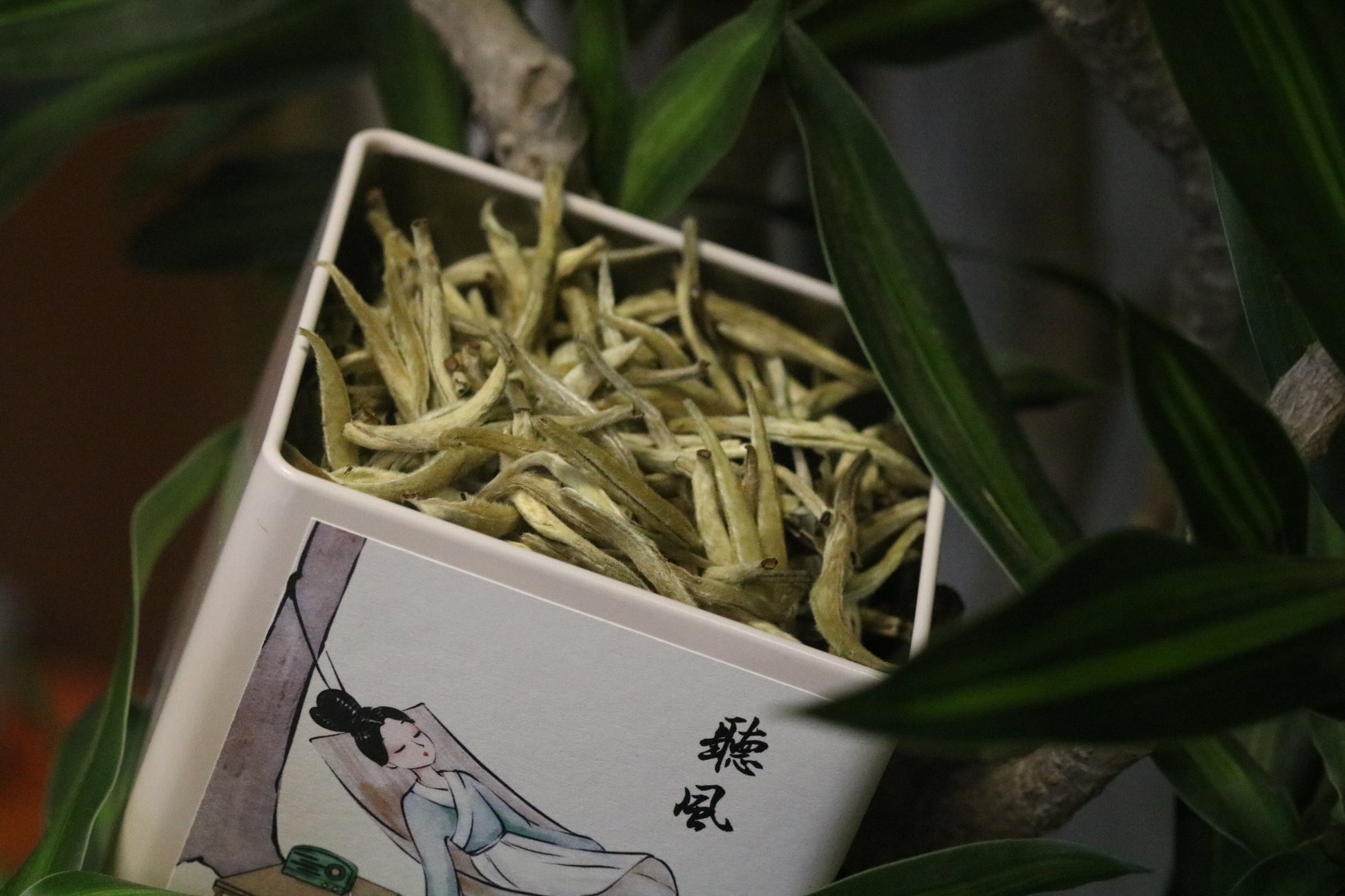 2022 Yunnan Silver Needle White Tea