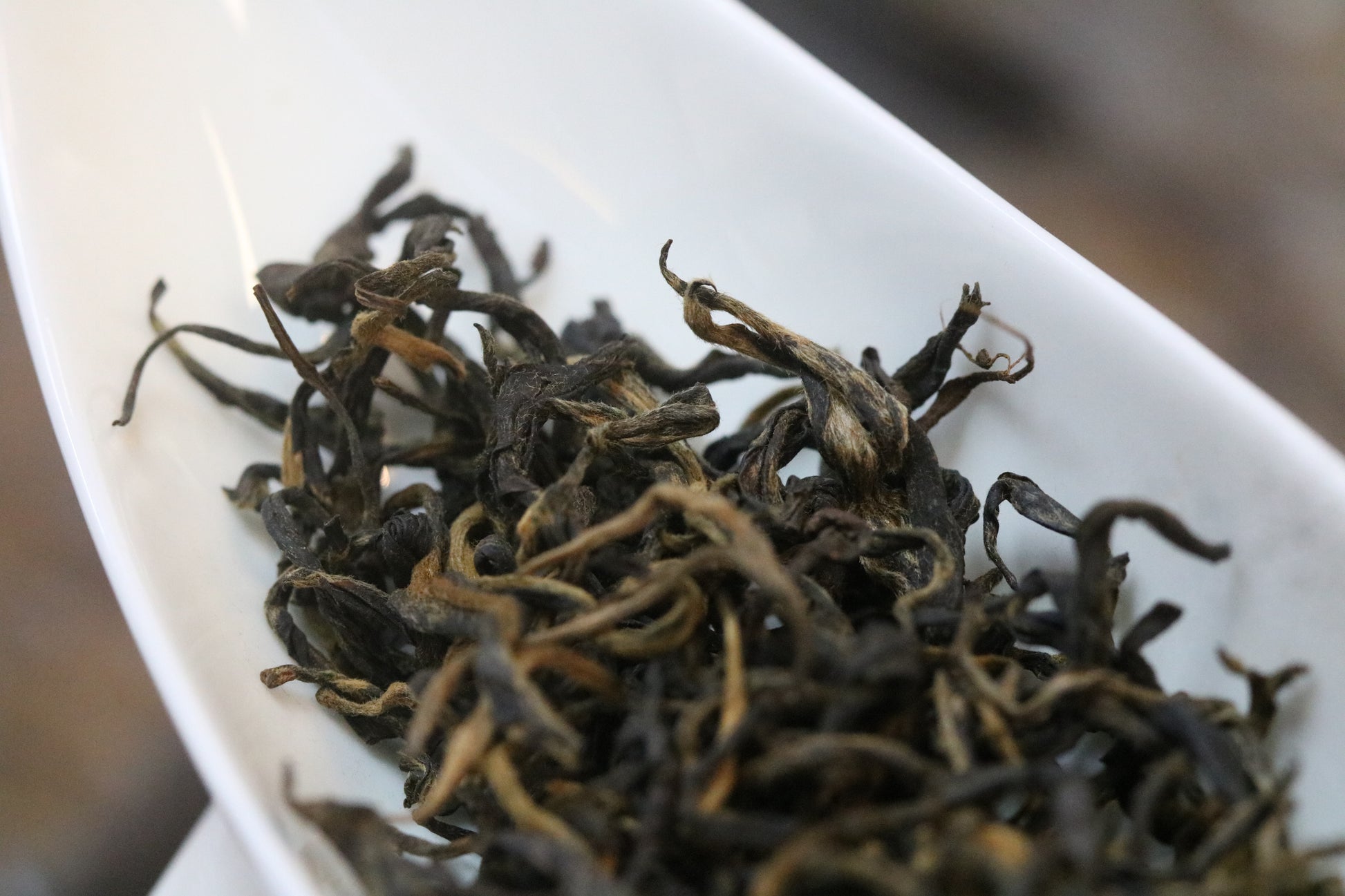 2024 Ancient Tree Sun-Dried Black Tea