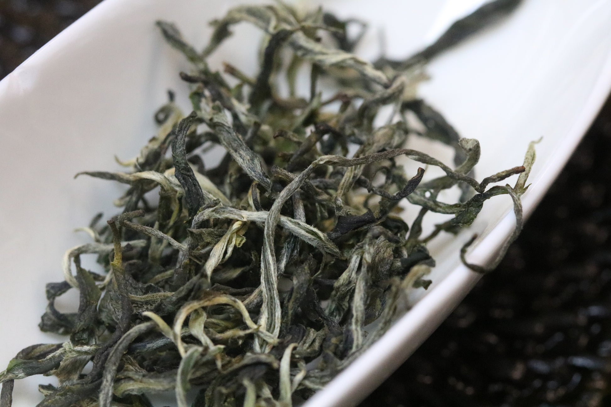 2024 Pǔlóng Green Tea