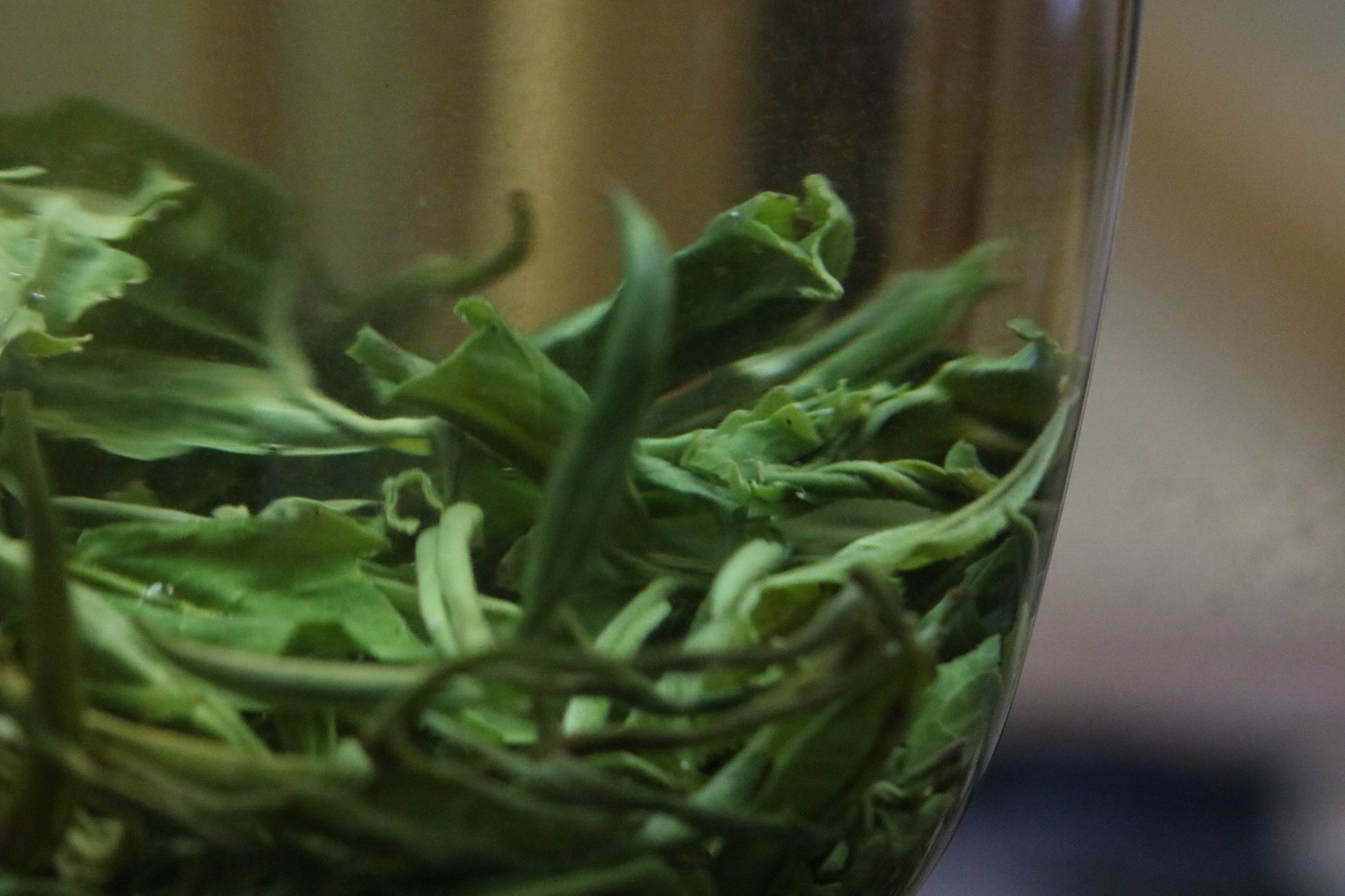 2024 Pǔlóng Green Tea