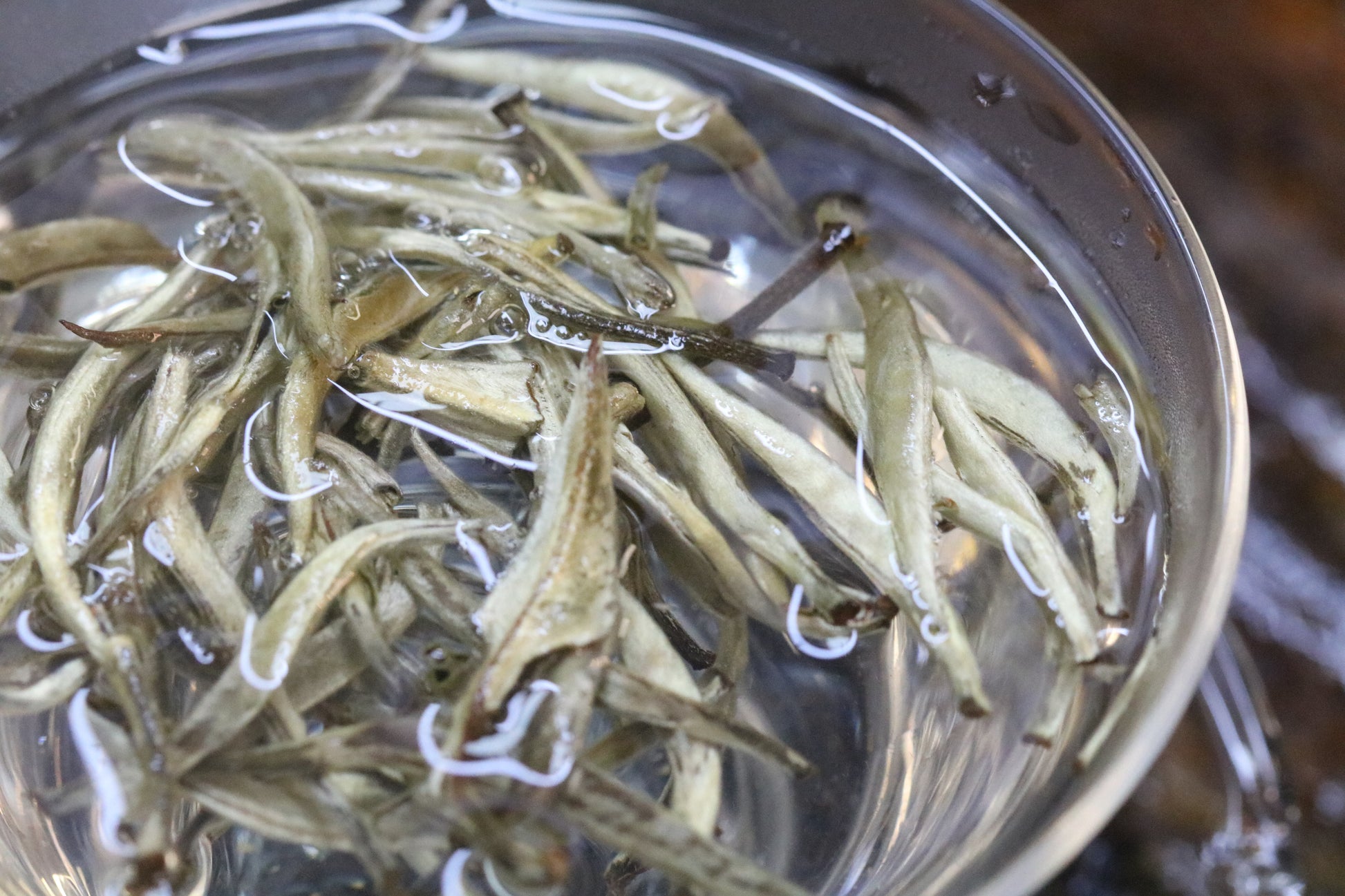 2022 Yunnan Silver Needle White Tea