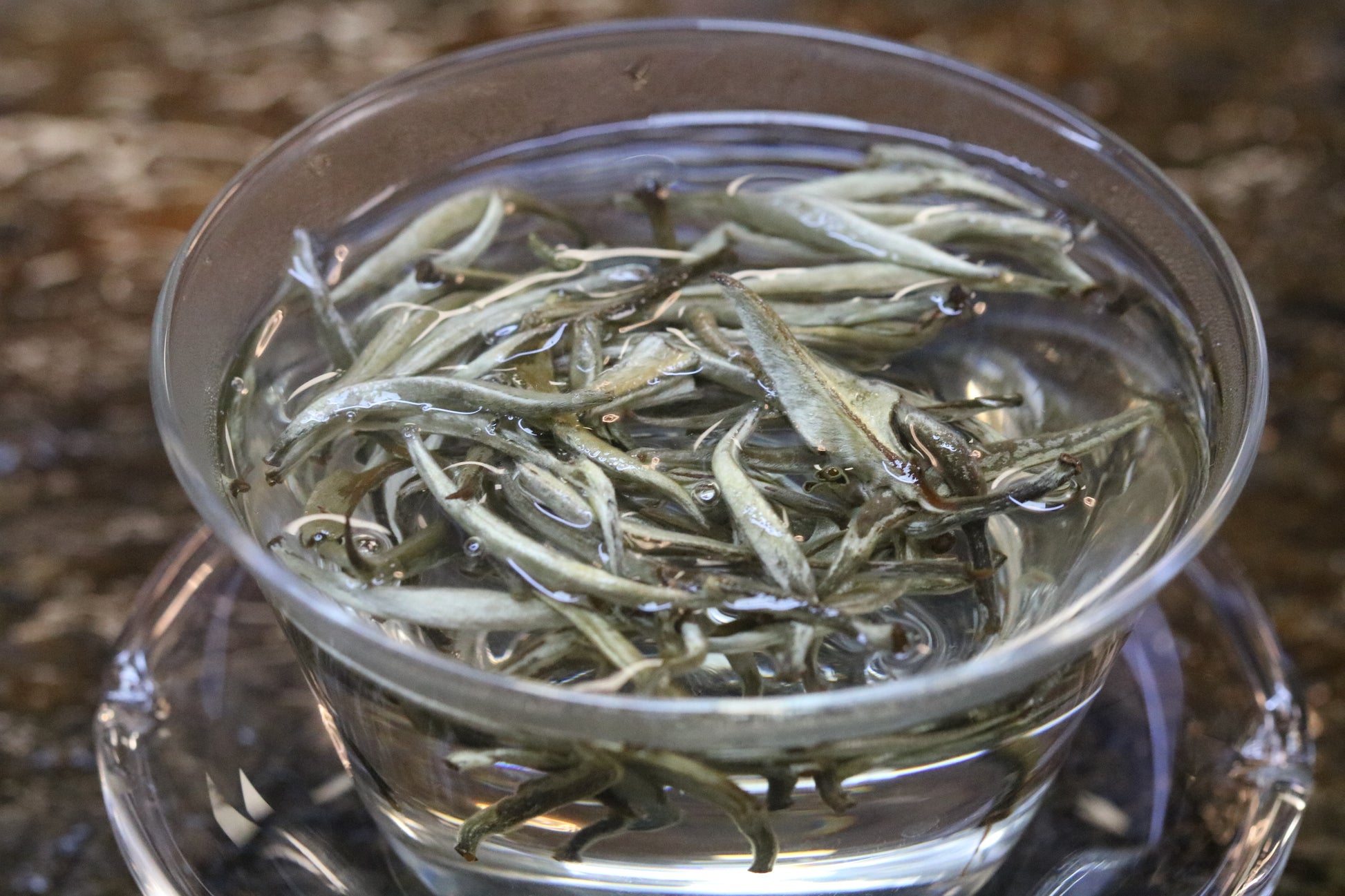 2022 Yunnan Silver Needle White Tea