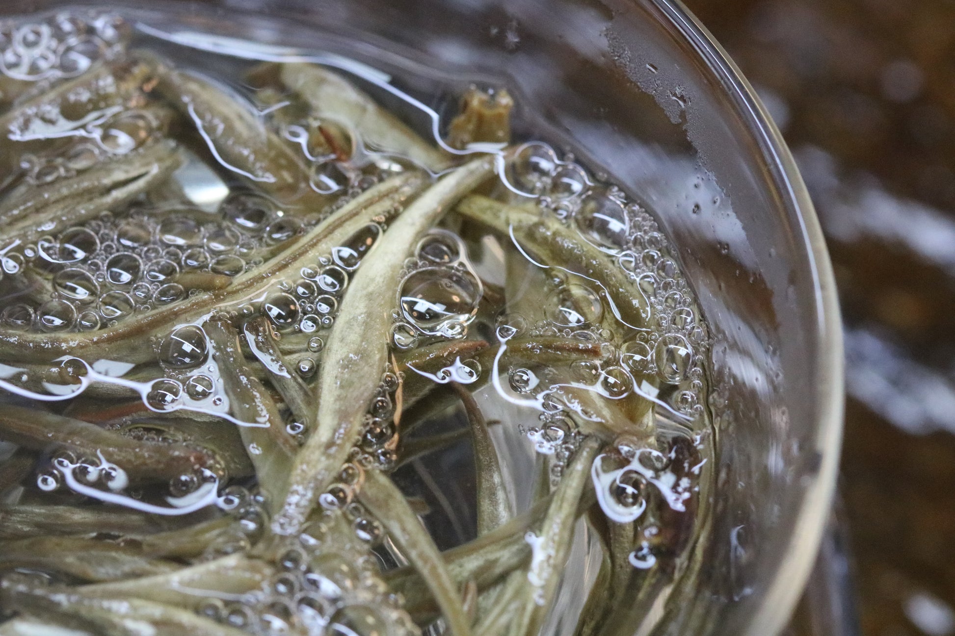 2022 Yunnan Silver Needle White Tea