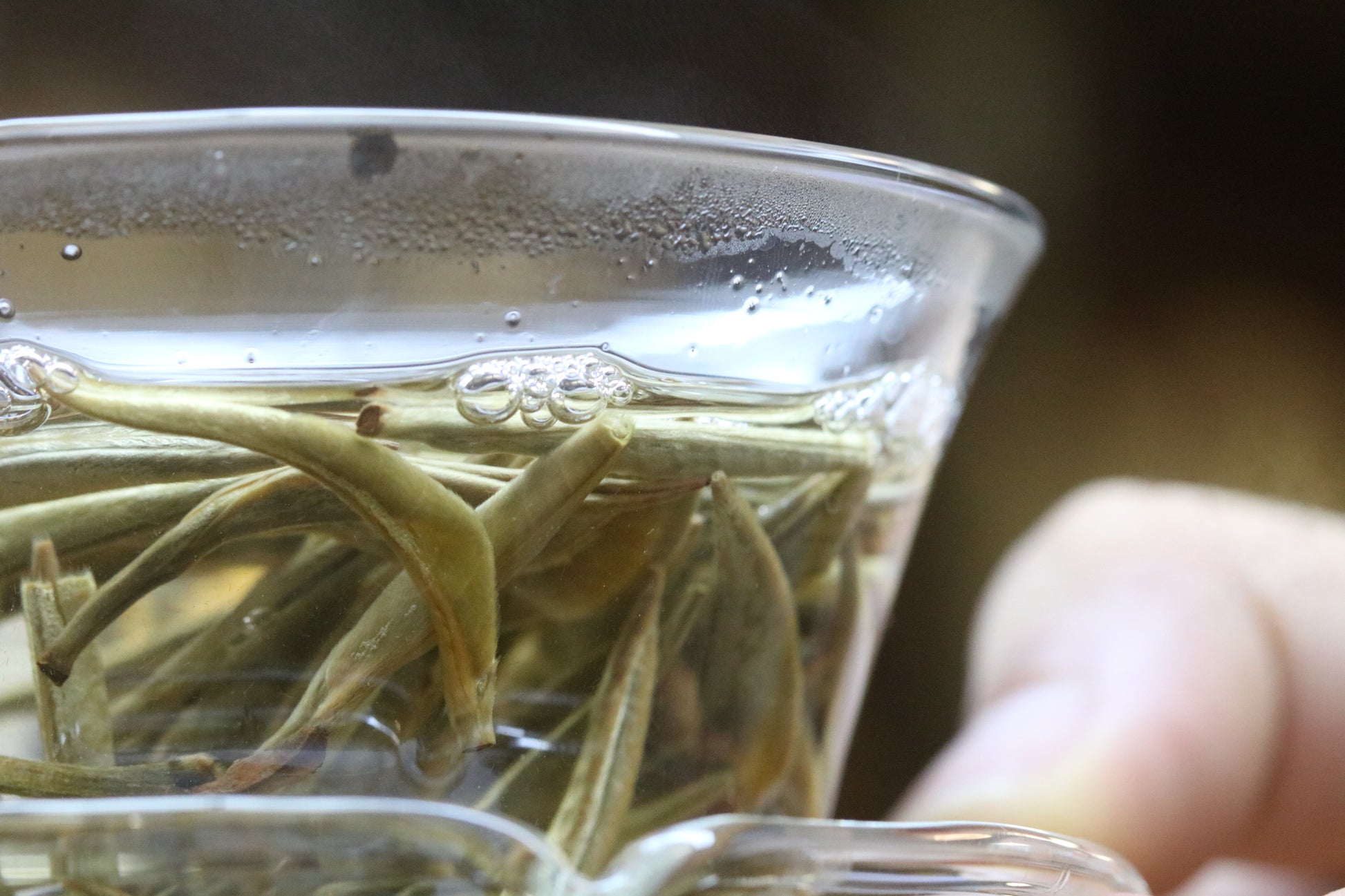 2022 Yunnan Silver Needle White Tea
