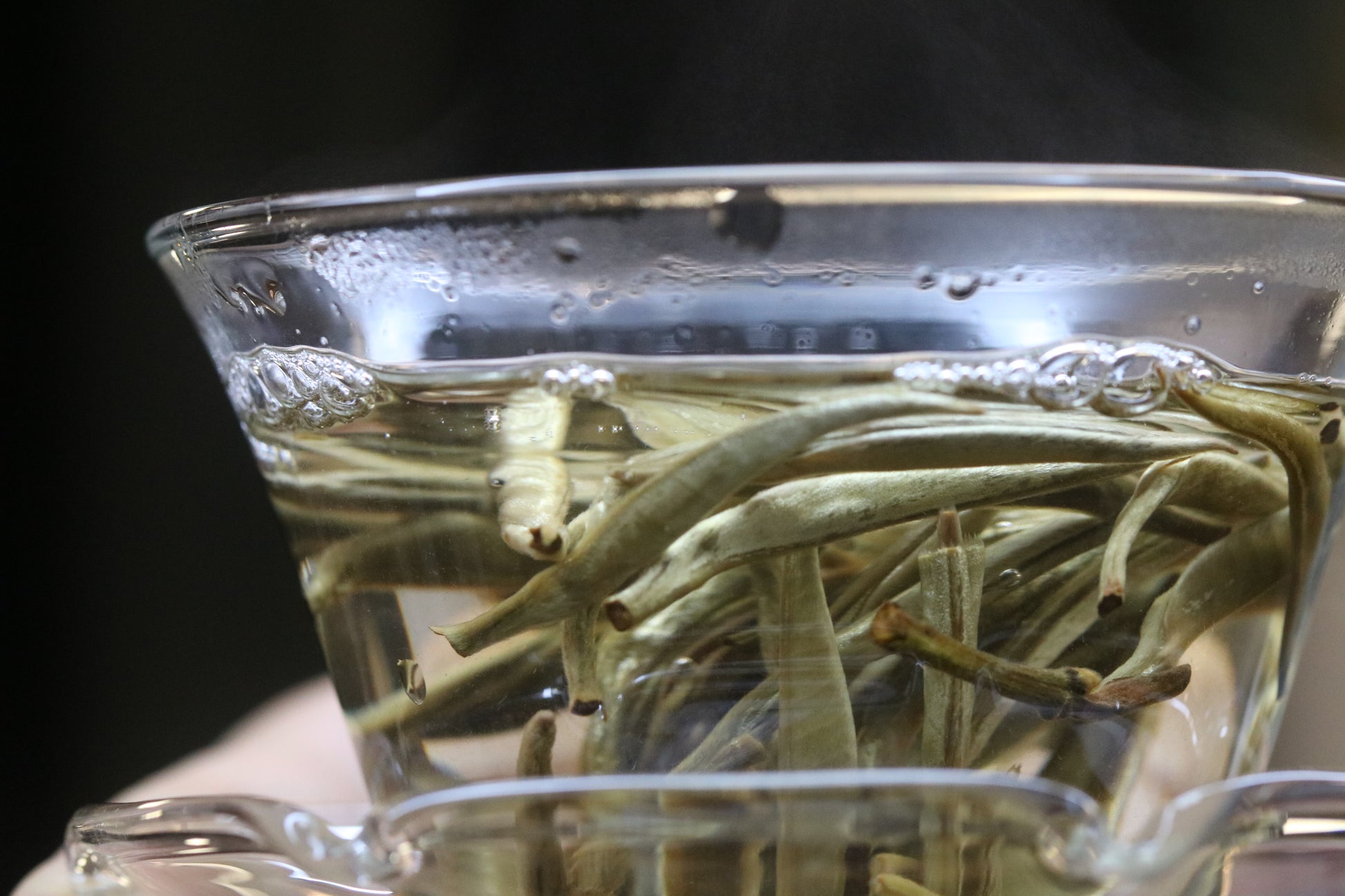 2022 Yunnan Silver Needle White Tea