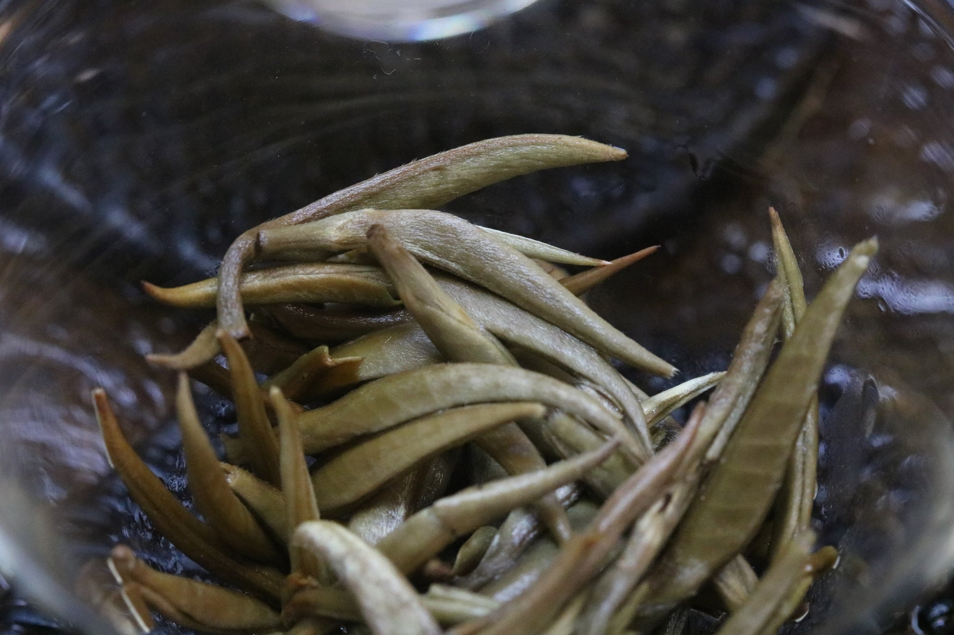 2022 Yunnan Silver Needle White Tea