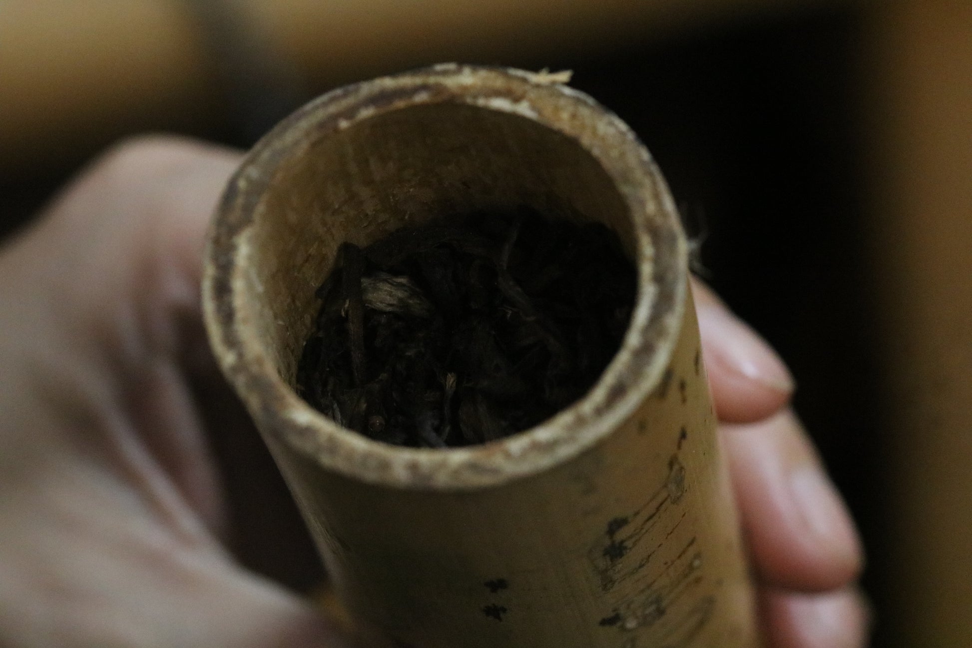 2024 Bamboo Tube Tea — A Tea Crafted with Unique Traditional Techniques