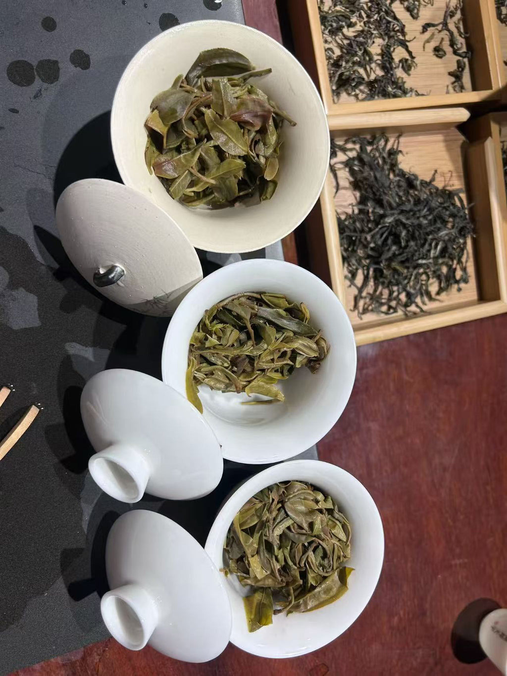 2026年倚邦细叶 600年历史的茶