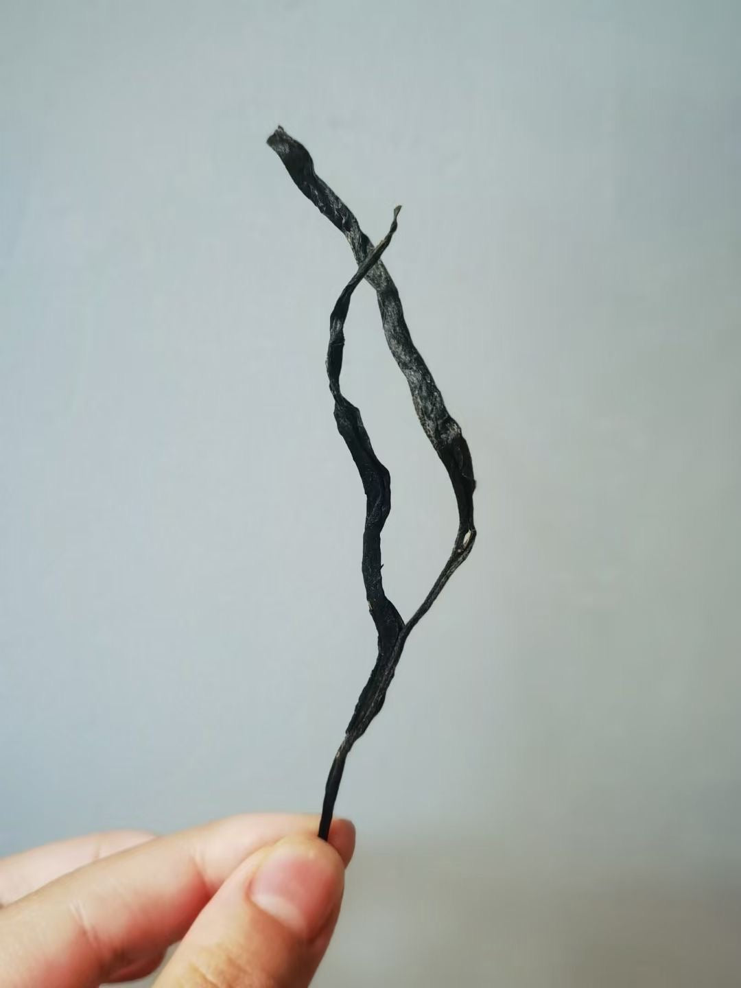 2022 Xiangzhulin · Ancient Tree Spring Tea Secret Lincang Sanctuary · “Fragrant Concubine of Tea” · Orchid & Bamboo Sweetness
