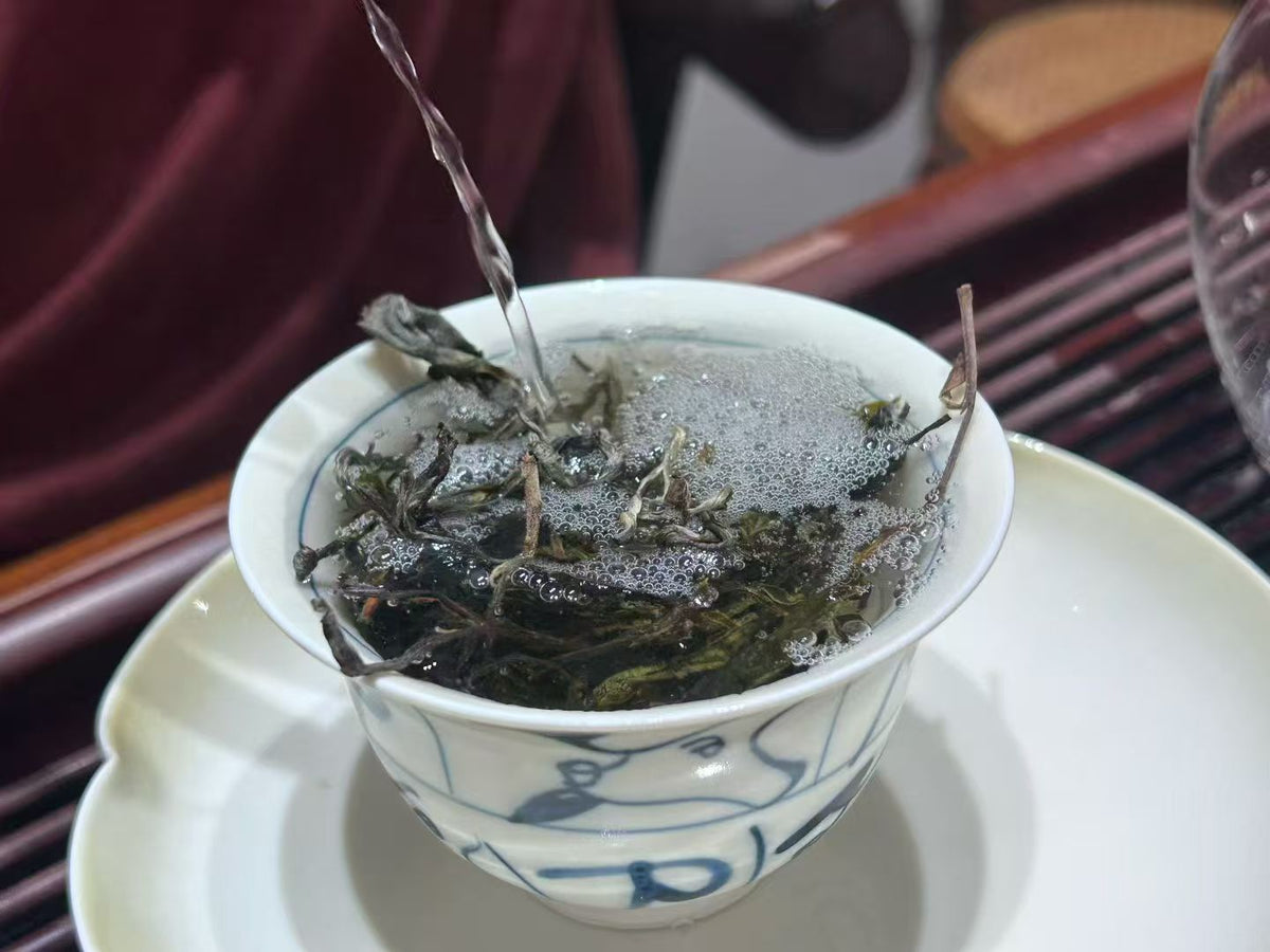 2026年冷水河 超级推荐