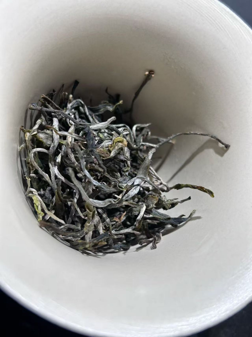 2026年倚邦细叶 600年历史的茶