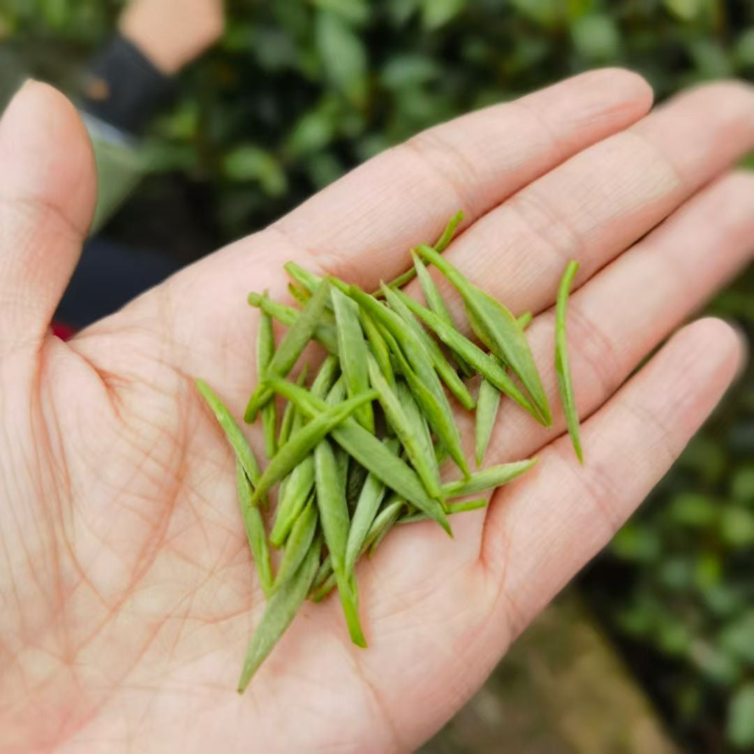 2023 Jin Jun Mei Black Tea