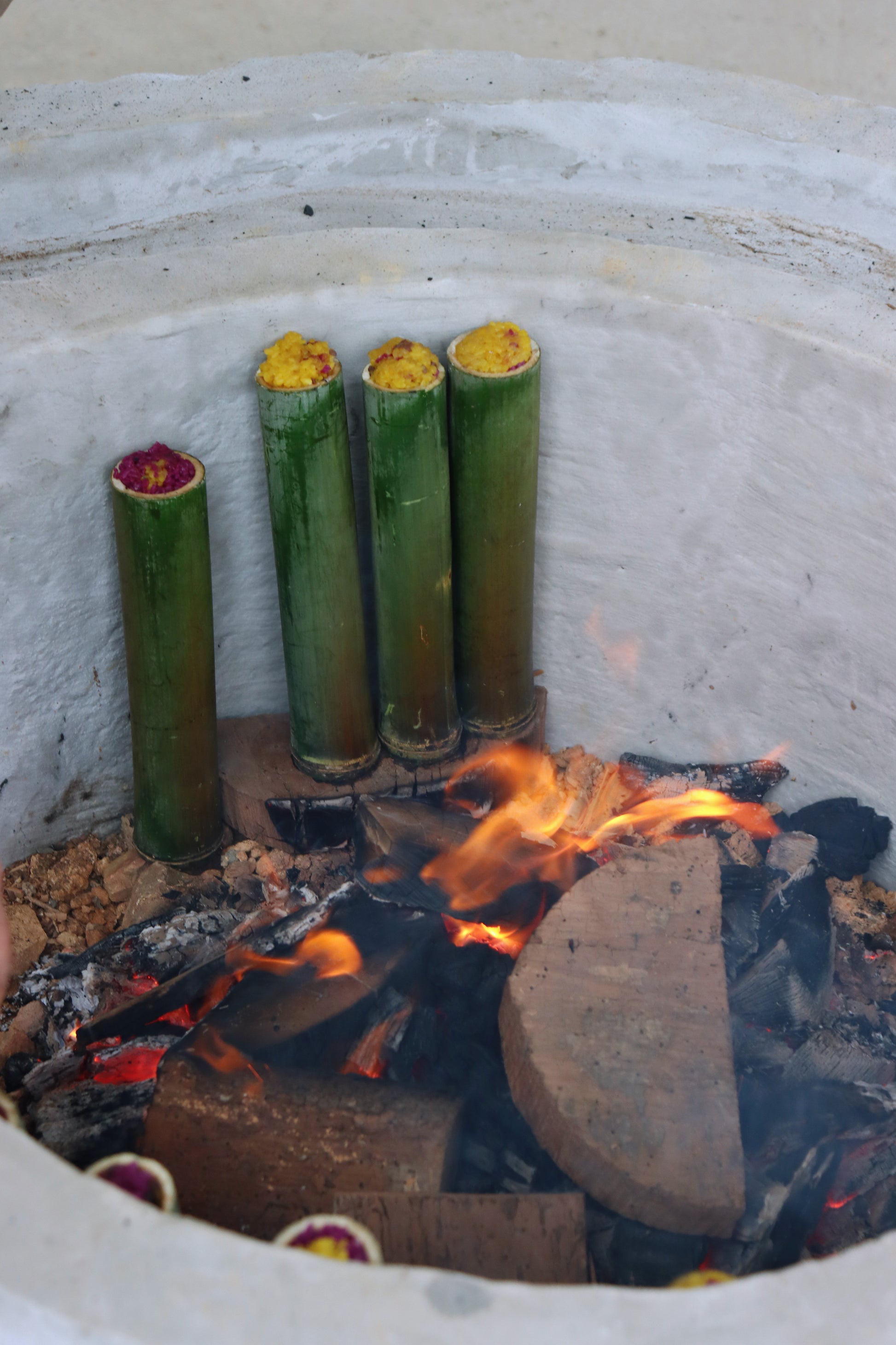 2024 Bamboo Tube Tea — A Tea Crafted with Unique Traditional Techniques